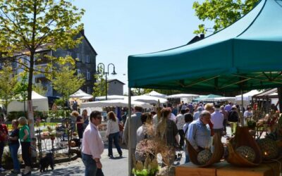 Oberthaler Töpfer- und Keramikmarkt auch 2015 ein voller Erfolg